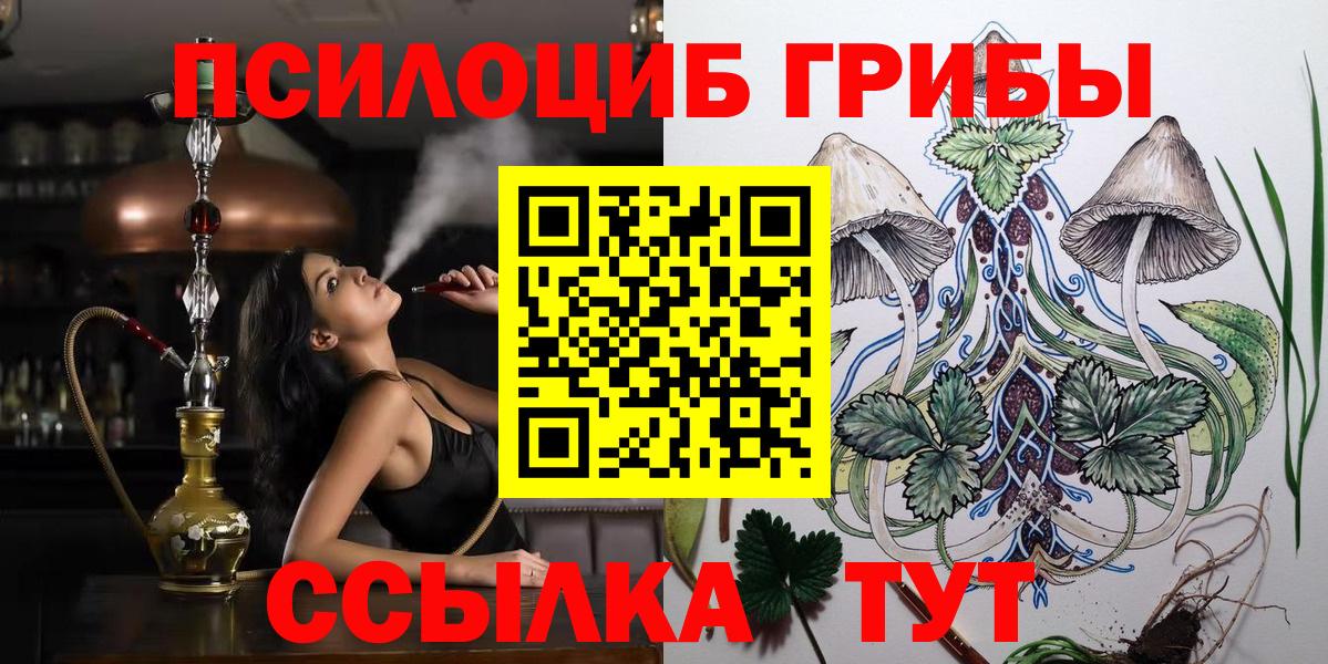 Галлюциногенные грибы GOLDEN TEACHER Курчалой