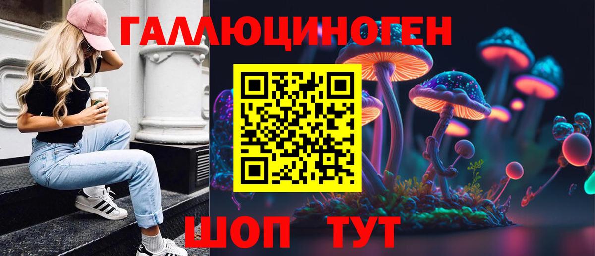 Псилоцибиновые грибы GOLDEN TEACHER  Галлюциногенные грибы мухоморы  Курчалой  купить  цена  Вход с VPN 