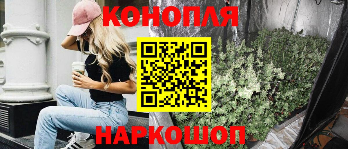 МАРИХУАНА Bruce Banner Курчалой